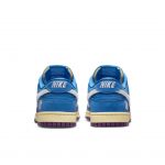 nike-dunk DH6508-400