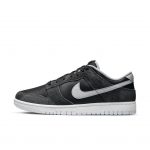 nike-dunk DH7913-001