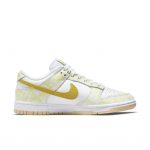 nike-dunk DM9467-700
