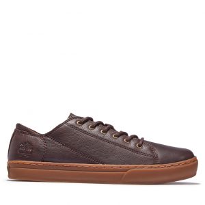 Timberland Adventure 2.0 Sneake Braun (A2GRBV13)