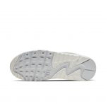 nike-air-max CW2650-100