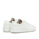 clae-bradley CL20ABR01-WWL