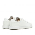 clae-bradley CL20ABR01-WWL