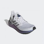 adidas Ultra Boost 20 Dash Grey Blue Violet (W)