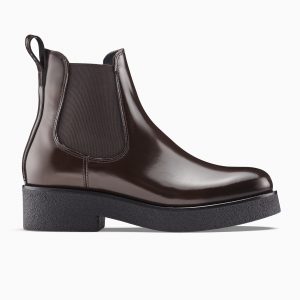 KOIO Novara Glossed Walnut (NOGW)