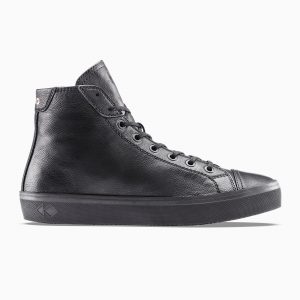 KOIO Sustainability (CTCDM0)