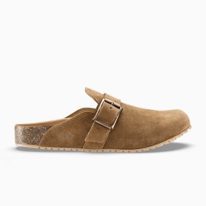 KOIO Sustainability (FUCO4)