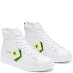 converse-pro-leather 167061C