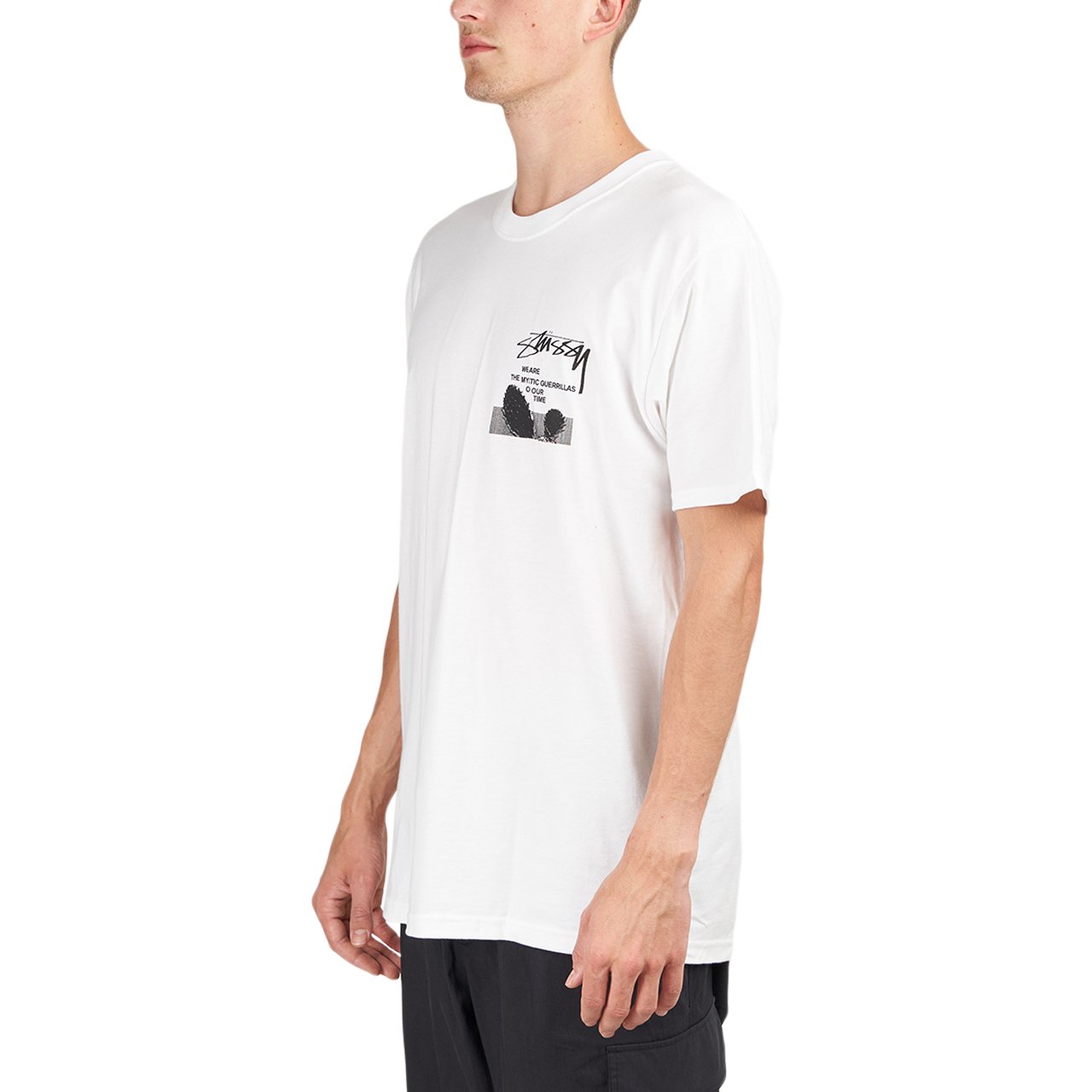 Stüssy Desert Sky Tee  (1904706-1201)