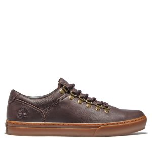 Timberland Adventure 2.0 Cupsole Alpine Sneake Braun (A2GWCV13)