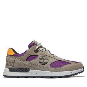 Timberland Field Trekker Sneaker Aus Leder/textil Beige (A2R4AK51)