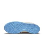 nike-dunk DJ1173-700