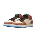 nike-dunk DJ1173-700
