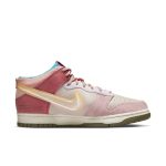 nike-dunk DJ1173-600
