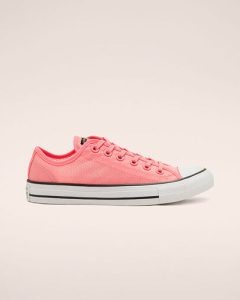 Converse Concrete Heat Chuck Taylor All Star Low Top für Damen Black Black (567660C)