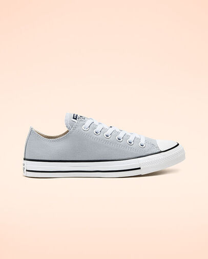 Converse Seasonal Color Chuck Taylor All Star Low Top Grey Grey (166710C)
