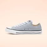 converse-chuck-taylor-all-star 166710C