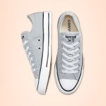 converse-chuck-taylor-all-star 166710C