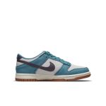 nike-dunk DC9561-400