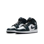 air-jordan-1 554725-411