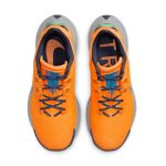 nike-air-pegasus DA8697-800
