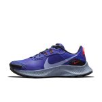nike-air-pegasus DA8698-401