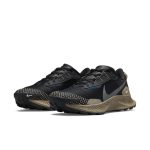 nike-air-pegasus DM6161-010
