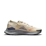 nike-air-pegasus DC8793-200