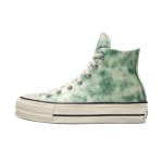 converse-chuck-taylor-all-star 171974CSU21_moss