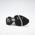 reebok-daytona-dmx EF3204