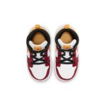 air-jordan-1 DJ0335-067