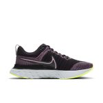 nike-infinity-run CT2423-500