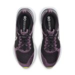 nike-infinity-run CT2423-500