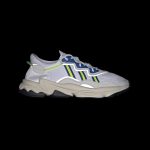 adidas-x-raf-simons-ozweego EE7009