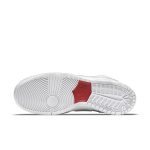 nike-dunk-sb DC8908-105