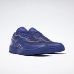 reebok-dual-court FW9956