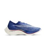 nike-zoom DD8337-400