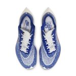 nike-zoom DD8337-400