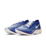 nike-zoom DD8337-400
