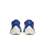 nike-zoom DD8337-400
