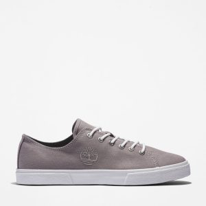 Timberland Union Wharf 2.0 Ek+ Sneake Grau (A29JB089)