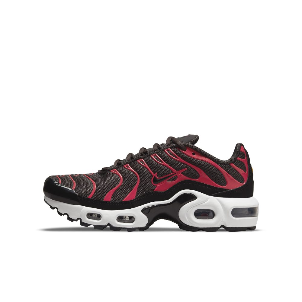 Nike Air Max Plus Braun (CD0609-200)