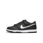 nike-dunk DC9560-001