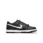 nike-dunk DC9560-001