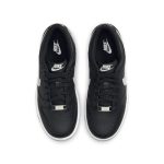 nike-dunk DC9560-001