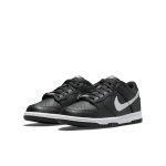 nike-dunk DC9560-001