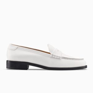 KOIO Brera in Dew (BRDW)
