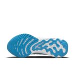nike-infinity-run CT2357-007