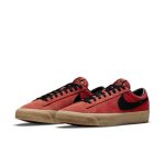 nike-zoom DC7695-600