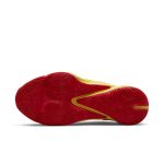 nike-zoom DC9364-700
